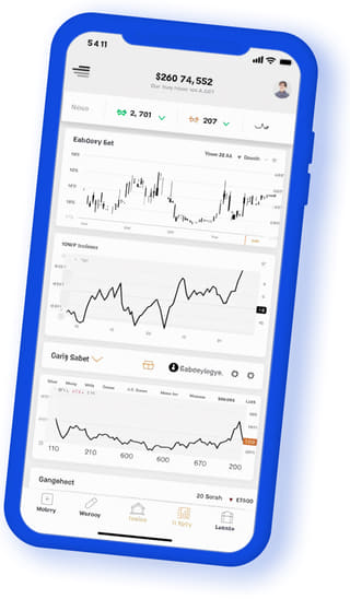 Aplicación web digital de Diamante Rentorio visualizada en un dispositivo móvil